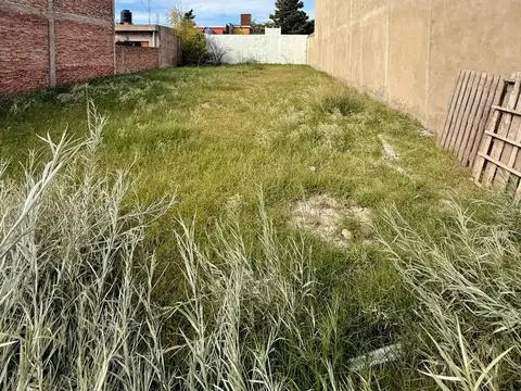 Terreno en Circunvalación casi Avenida Palacios. 
