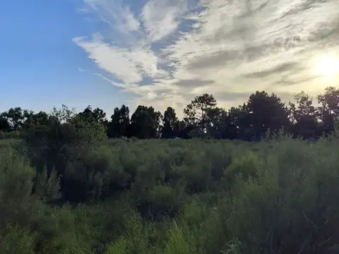 Terreno en Venta de 4079,0 m2