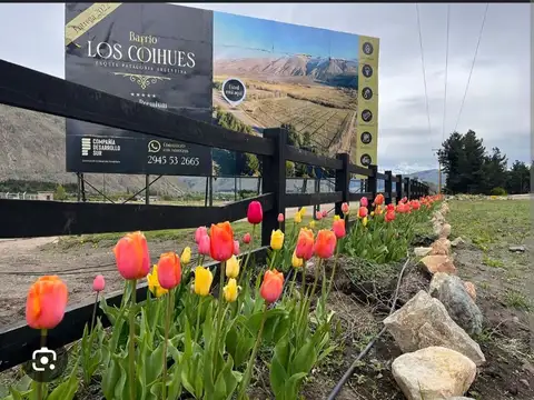 Esquel chubut  Lotes Los Coihues