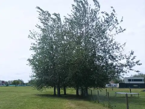 Terreno en Venta en Haras Del Sur 3, USD 20.000