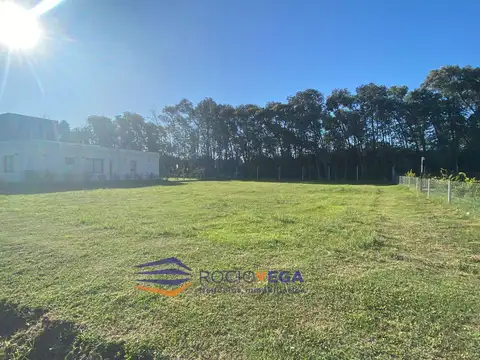 Terreno en Venta 40  mts Fondo