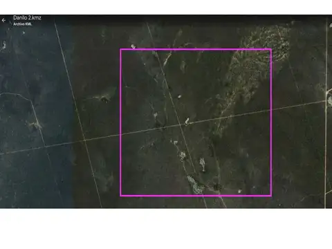 Campo 1000 Ha Depto. Rivadavia Salta 100