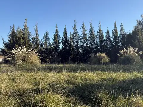 Terreno en Venta de 1901,0 m2