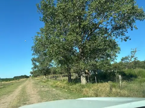 Santa Lucía 5000