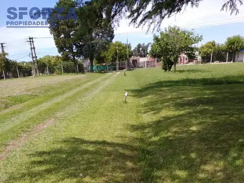 Dalmasio Sanchez al 1500