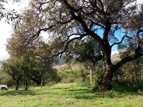 Terreno en Venta en Calaguala, USD 46.000