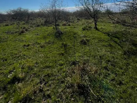 Campo en Venta de 23  ha