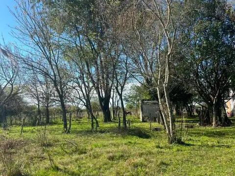 Campo en Venta de 23  ha