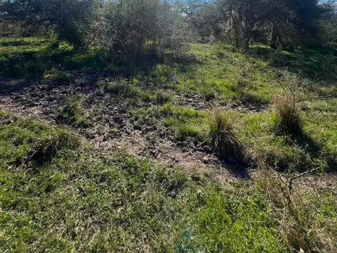Campo en Venta con Alambrado