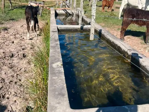 Campo en Venta Chacra