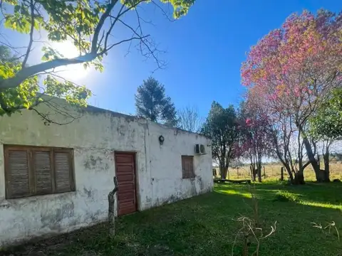 Camino Rural