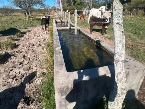 Campo - Chacra 23 hec Pueblo Libertador Corrientes