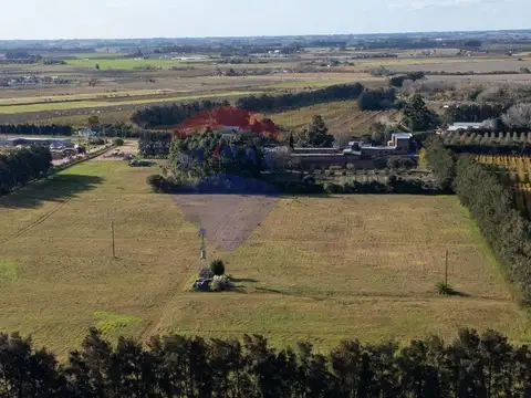 Brigadier General Fructuoso Rivera