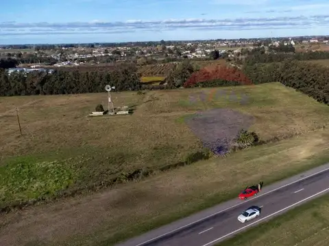 Terreno en Alquiler de 50000,0 m2