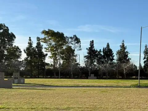 Los Pasos del Jockey Barrio Abierto