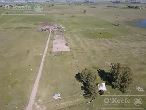 Campo Ganadero - 58 has Sobre Ruta N° 29