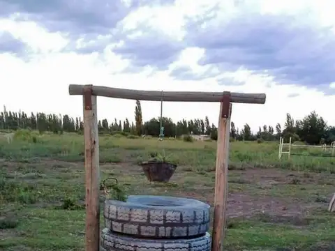 FINCA VENTA en LOS CLAVELES, SAN RAFAEL, MENDOZA