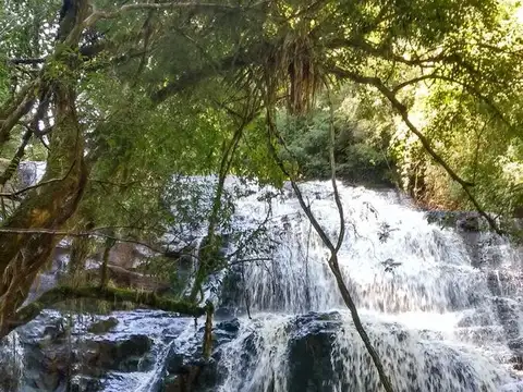 Santa Victoria Oeste, Salta