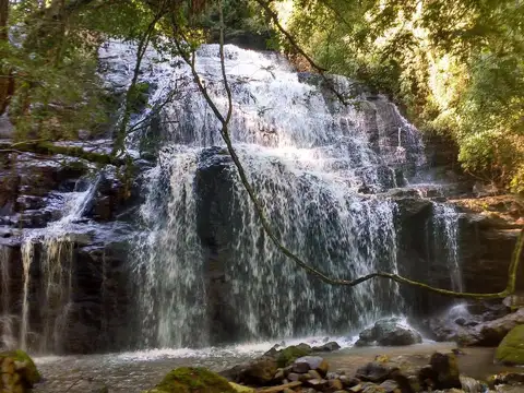 72.000 hectáreas con excepcional potencial forestal, energético y minero