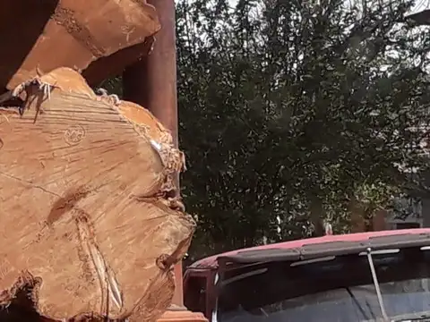 Santa Victoria Oeste, Salta