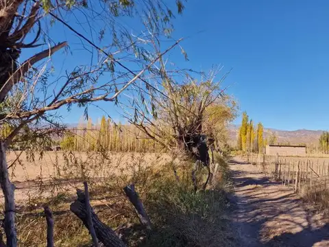 Terreno en Venta de 10000,0 m2