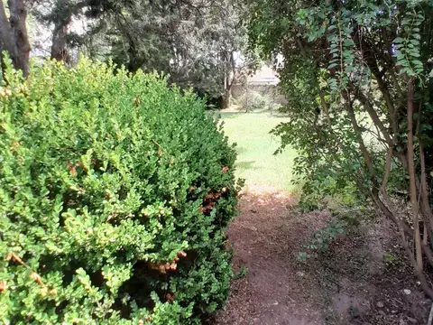 Terreno en Venta de 300,0 m2