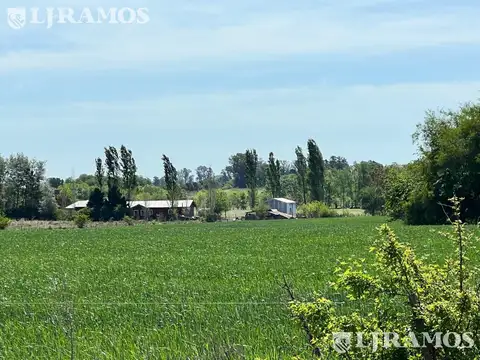 Terreno - Countries/B.Cerrado (Campana)