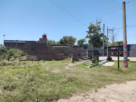 Ruta 11