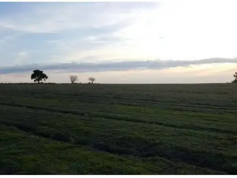 Camino Tierra Molino Doll al 100