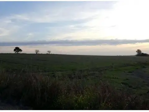 Camino Tierra Molino Doll al 100