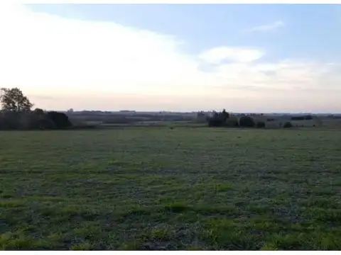 Campo De 15,4 Has En Molino Doll, Con Acceso Al Arroyo Doll