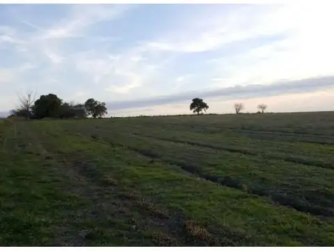 Campo De 15,4 Has En Molino Doll, Con Acceso Al Arroyo Doll