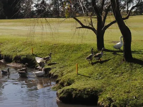 Terreno en Venta en Larena Country Club, USD 28.000