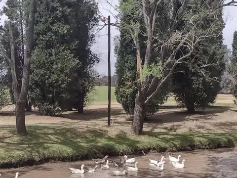 Terreno en Venta de 466,0 m2