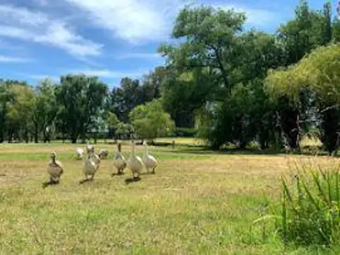 Hermoso Lote Perimetral En Barrio Larena Country Club,