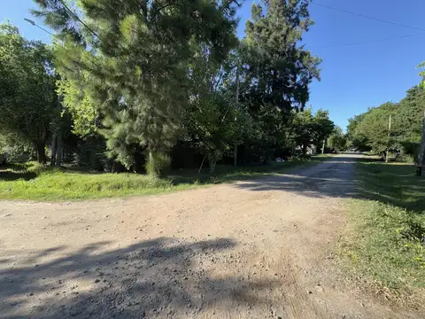 Rua Larguia & A. Williams