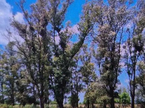 Terreno en Venta 132  mts Fondo