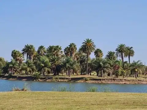 Terreno en Venta de 1200,0 m2