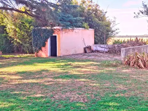 CAMPO EN ROJAS, 56 HA