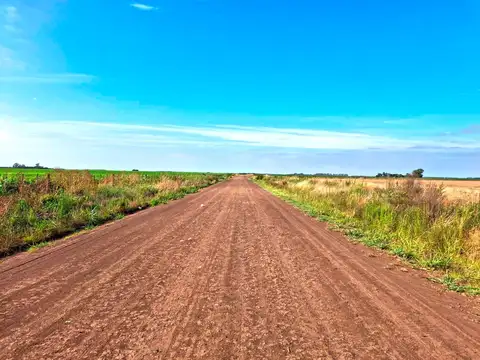CAMPO EN ROJAS, 56 HA