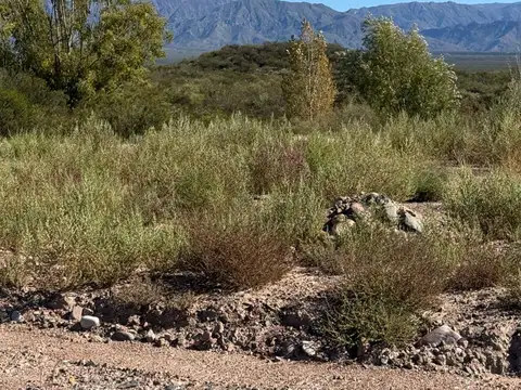 Terreno en Venta en Chacras de Coria, Luján de Cuyo