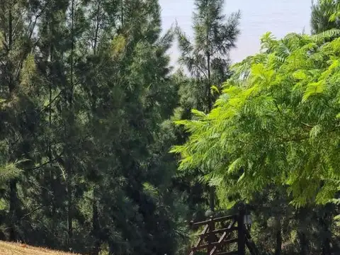 Terreno en Venta de 1094,0 m2