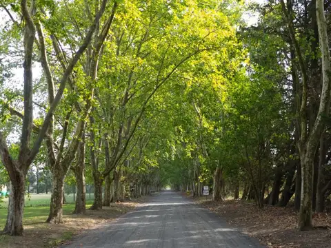 Terreno en Venta en Fighiera, USD 50.000
