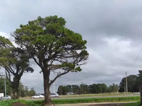 Terreno en Venta en Santa Clara Del Mar, USD 14.000