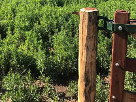 Terreno en Venta de 2000,0 m2