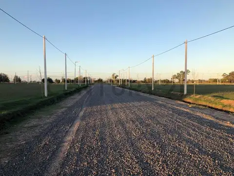 510 Y 167 DON BASILIO LOTE EN GORINA EN VENTA