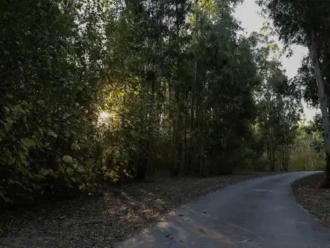 Terreno en Venta de 375,0 m2