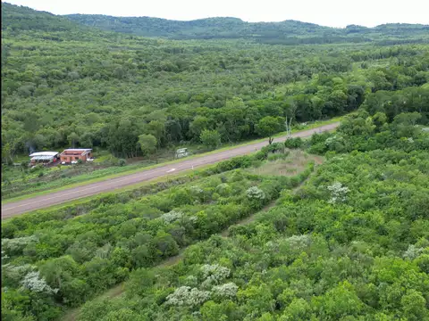 Terreno en Venta 12  mts Frente