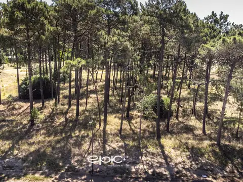 Terreno en Venta de 1050,0 m2