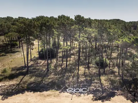 Venta lote en Barrio Bosques Pinamar